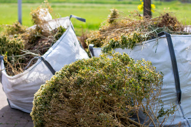 Best Residential Junk Removal  in Marion, NC